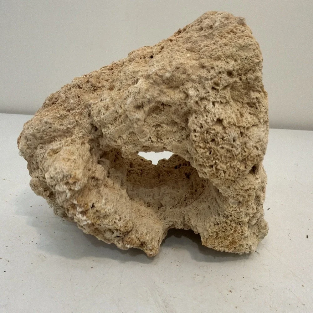 CORAL 8